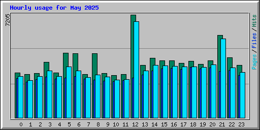 Hourly usage for May 2025